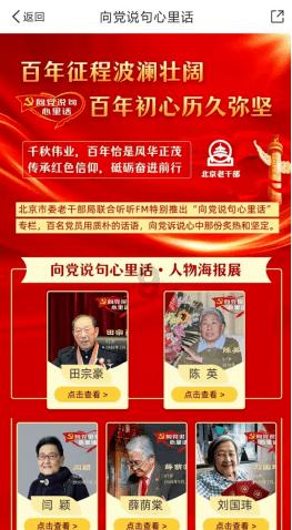 彼得比尔特379拼图